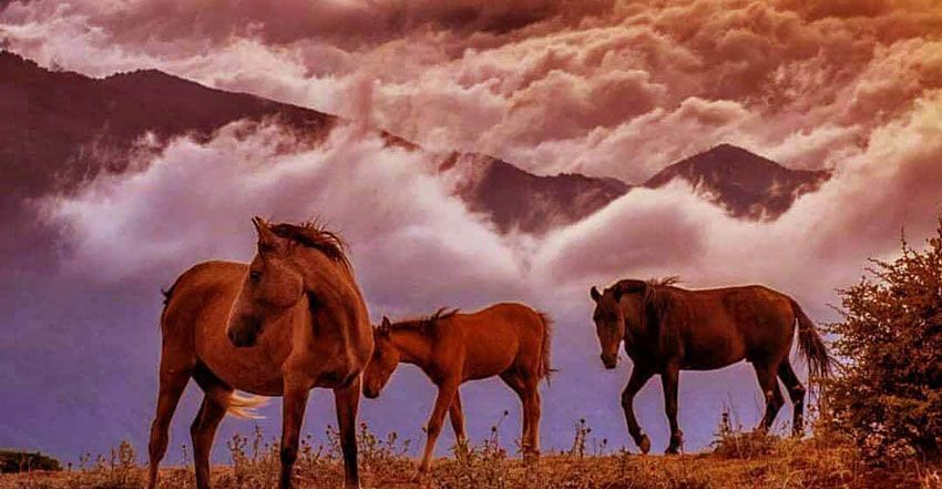 فیلبند مازندران کجاست: بالاتر از ابرها بایستید فیلبند مازندران کجاست: بالاتر از ابرها بایستید